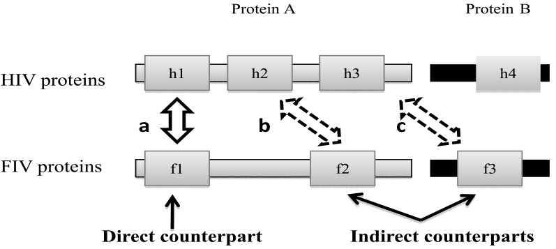 HIV-1 Vaccine Trials: Evolving Concepts and Designs.