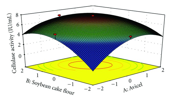 Application of Statistical Design for the Production of Cellulase by Trichoderma reesei Using Mango Peel.