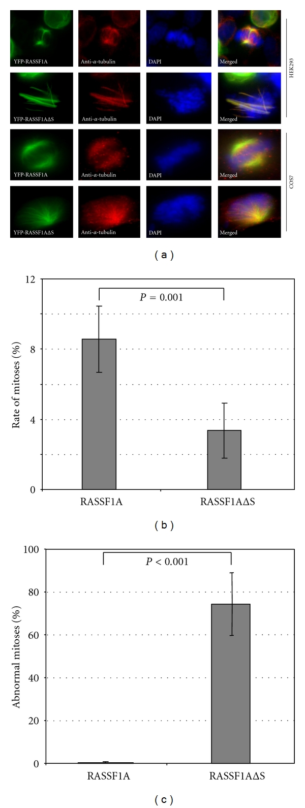 The SARAH Domain of RASSF1A and Its Tumor Suppressor Function.