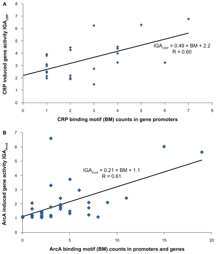 Binding Motifs in Bacterial Gene Promoters Modulate Transcriptional Effects of Global Regulators CRP and ArcA.