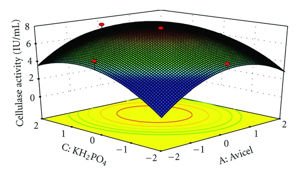 Application of Statistical Design for the Production of Cellulase by Trichoderma reesei Using Mango Peel.