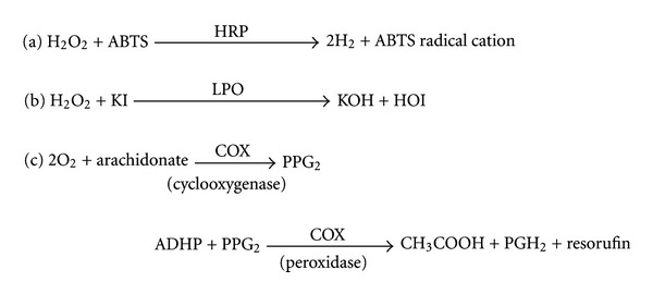 Inhibition of heme peroxidases by melamine.