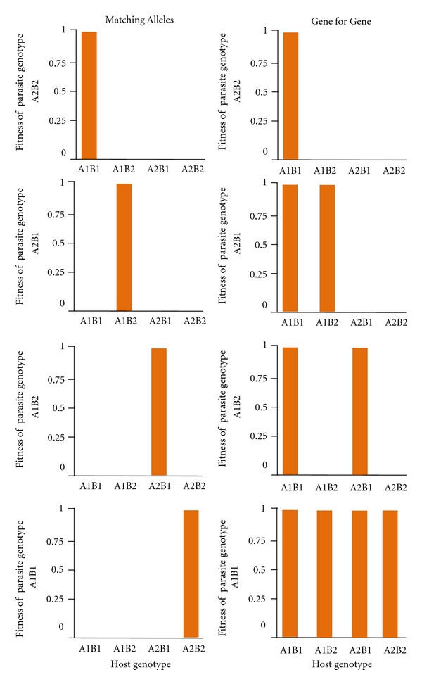 What Can Phages Tell Us about Host-Pathogen Coevolution?