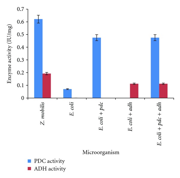 Cellulosic Ethanol Production by Recombinant Cellulolytic Bacteria Harbouring pdc and adh II Genes of Zymomonas mobilis.