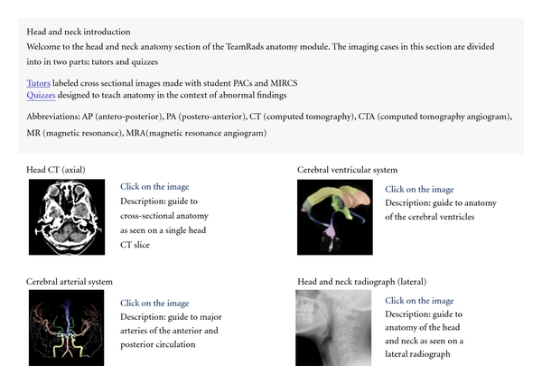 Strategic improvements for gross anatomy web-based teaching.