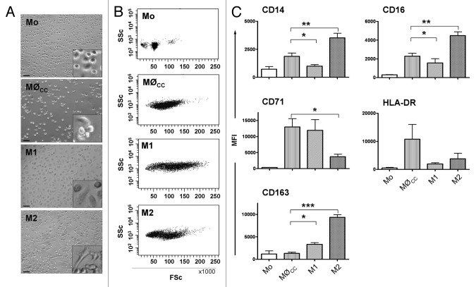 Artificial extracellular matrices composed of collagen I and high sulfated hyaluronan modulate monocyte to macrophage differentiation under conditions of sterile inflammation.