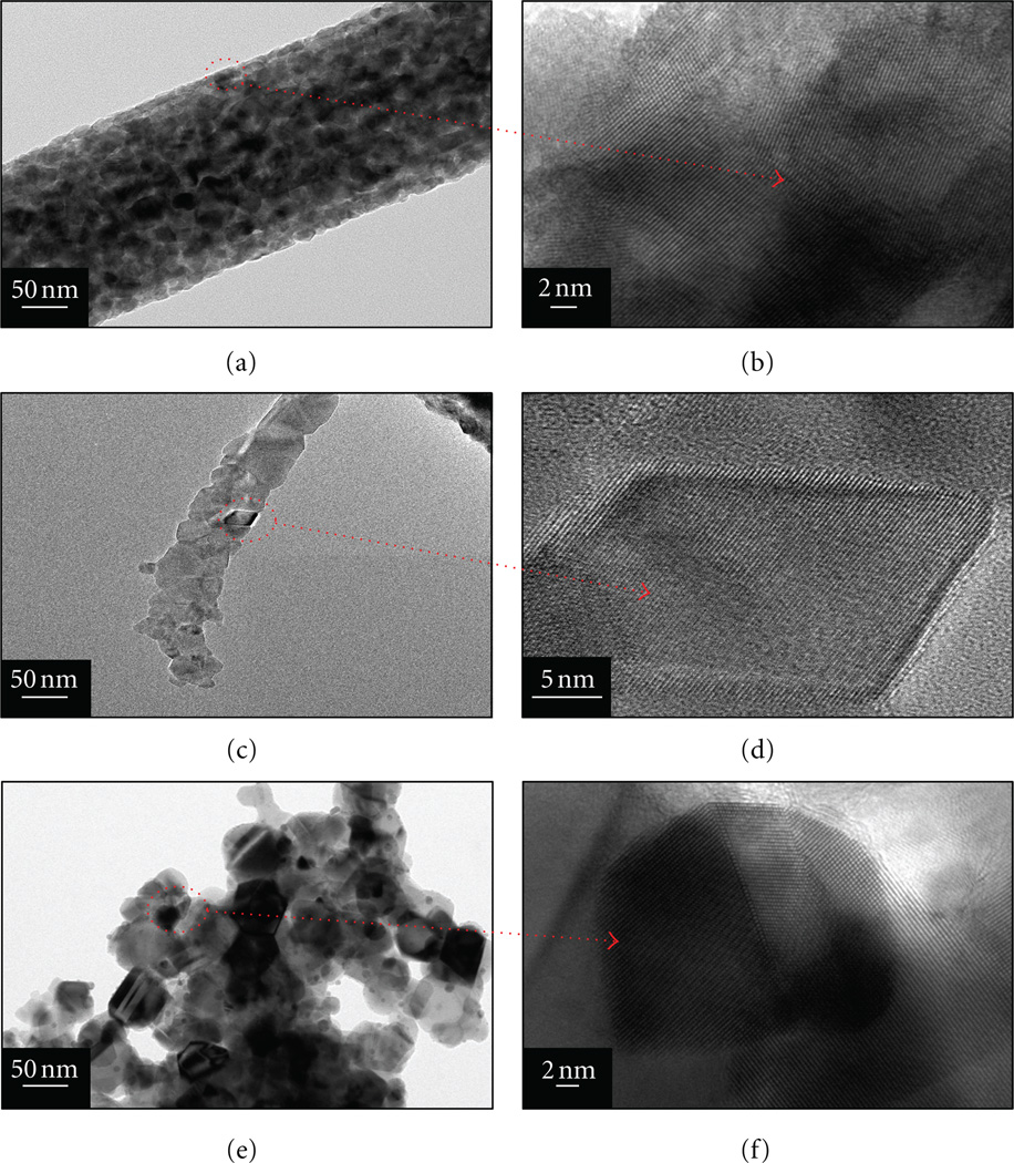 Titanium Dioxide Nanofibers and Microparticles Containing Nickel Nanoparticles.