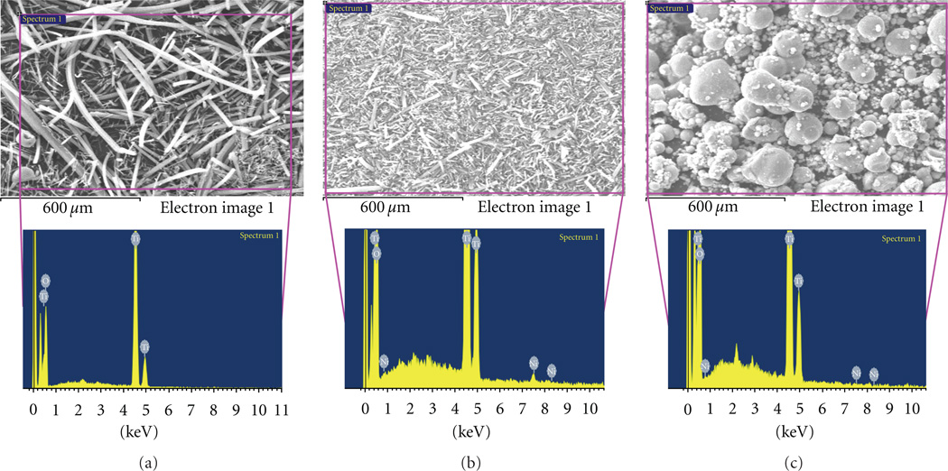 Titanium Dioxide Nanofibers and Microparticles Containing Nickel Nanoparticles.