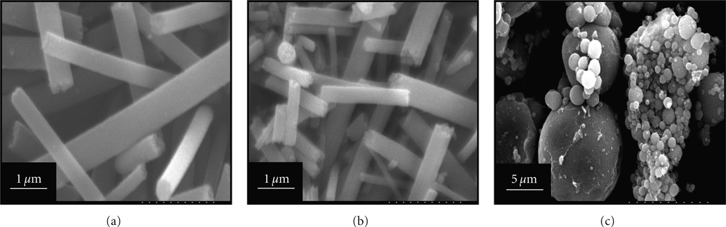Titanium Dioxide Nanofibers and Microparticles Containing Nickel Nanoparticles.