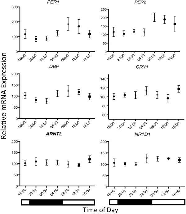 Investigation of a non-invasive method of assessing the equine circadian clock using hair follicle cells.