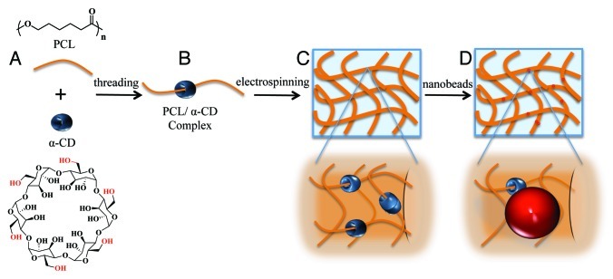 Multifunctional aliphatic polyester nanofibers for tissue engineering.