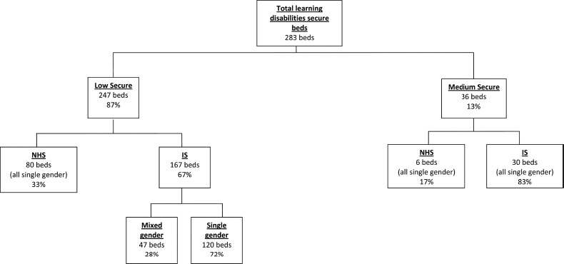 Women's secure hospital services: national bed numbers and distribution.