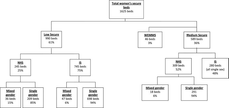 Women's secure hospital services: national bed numbers and distribution.