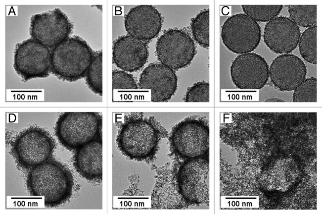 Size-tunable drug-delivery capsules composed of a magnetic nanoshell.