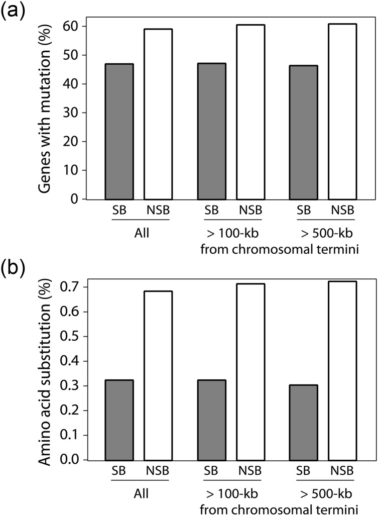 Comparative genome analysis between Aspergillus oryzae strains reveals close relationship between sites of mutation localization and regions of highly divergent genes among Aspergillus species.