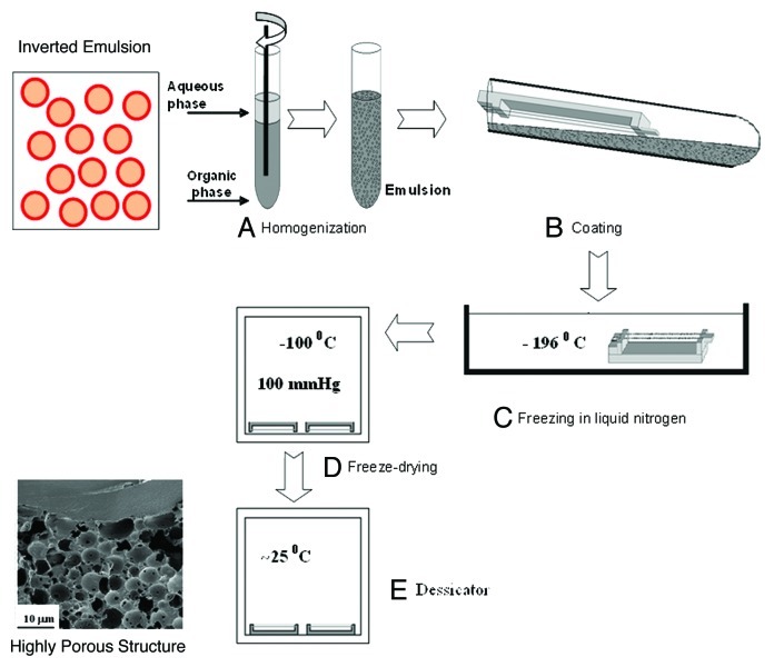 Highly porous drug-eluting structures: from wound dressings to stents and scaffolds for tissue regeneration.