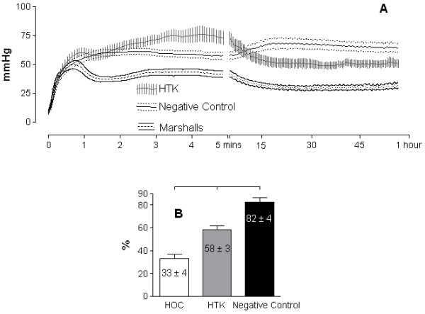 The influence of perfusion solution on renal graft viability assessment.