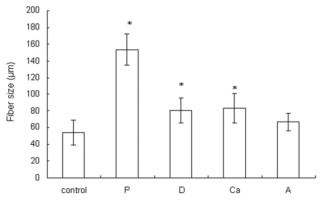 The influence of operating parameters on the drug release and antibacterial performances of alginate fibrous dressings prepared by wet spinning.