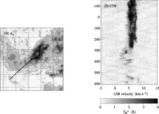 Turbulent molecular clouds