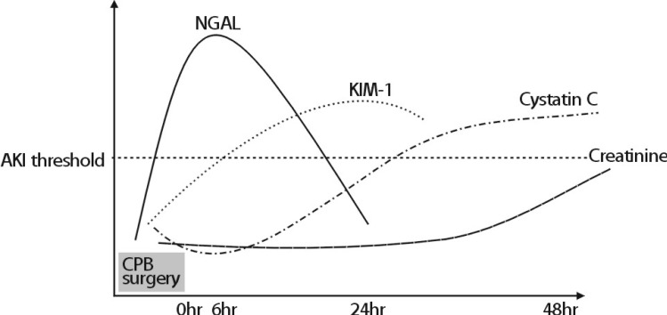 Novel Biomarkers for Cardio-renal Syndrome.