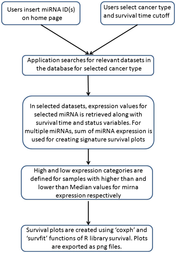 PROGmiR: a tool for identifying prognostic miRNA biomarkers in multiple cancers using publicly available data.