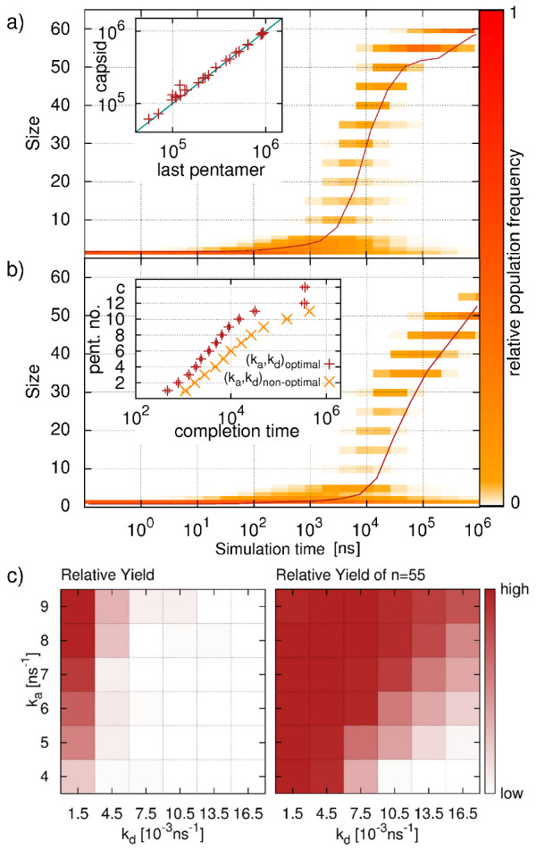 Stochastic dynamics of virus capsid formation: direct versus hierarchical self-assembly.