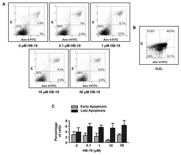 The pseudopeptide HB-19 binds to cell surface nucleolin and inhibits angiogenesis.