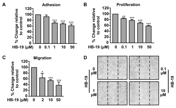 The pseudopeptide HB-19 binds to cell surface nucleolin and inhibits angiogenesis.