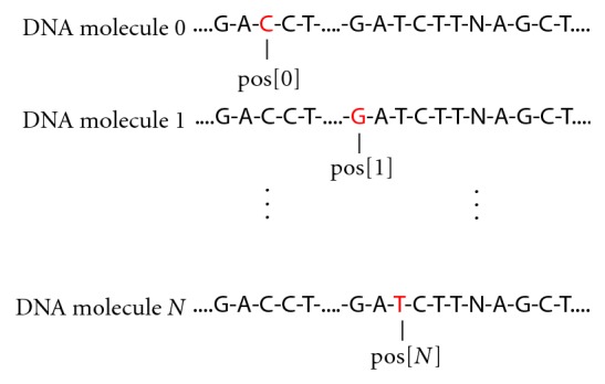 CallSim: Evaluation of Base Calls Using Sequencing Simulation.