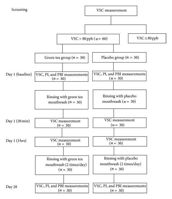 Effect of green tea mouthwash on oral malodor.