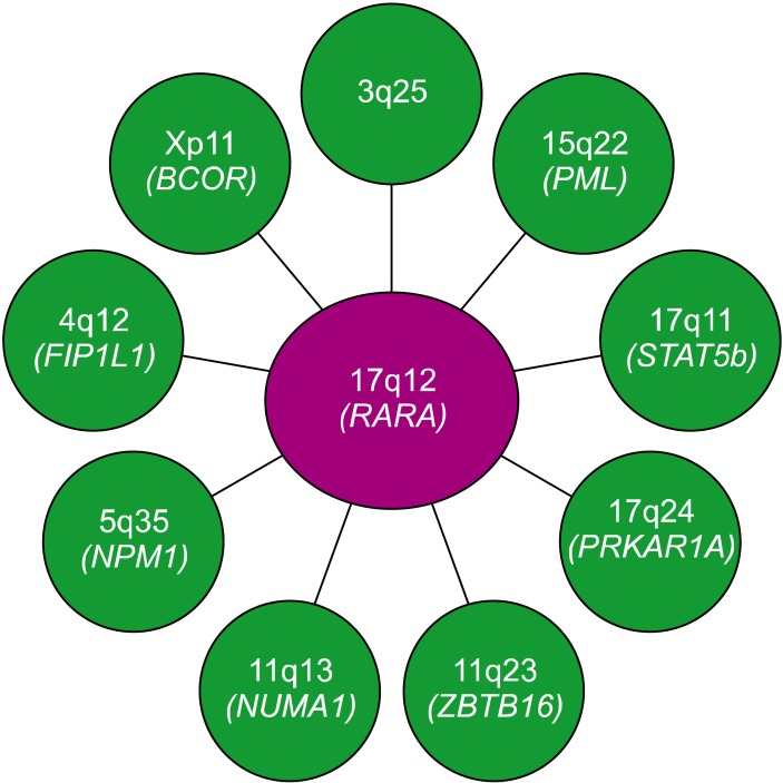 Molecular methods for genomic analyses of variant PML-RARA or other RARA-related chromosomal translocations in acute promyelocytic leukemia.