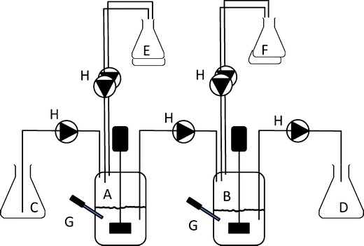 Development of the Digestive System-Experimental Challenges and Approaches of Infant Lipid Digestion.