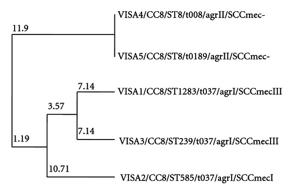 Genetic Characterization of Methicillin Resistant and Sensitive, Vancomycin Intermediate Staphylococcus aureus Strains Isolated from Different Iranian Hospitals.