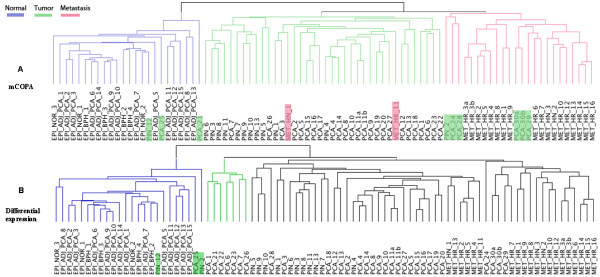 mCOPA: analysis of heterogeneous features in cancer expression data.