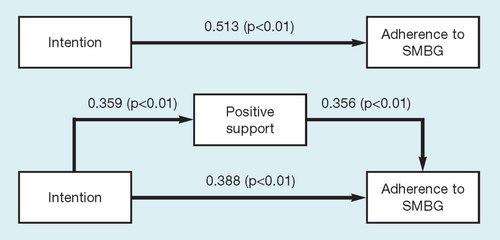 Partner support, social-cognitive variables and their role in adherence to self-monitoring of blood glucose in type 2 diabetes