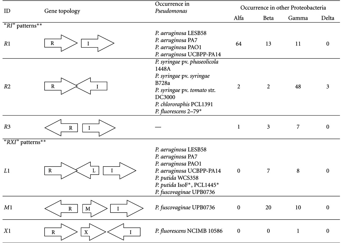 Chromosomal Arrangement of AHL-Driven Quorum Sensing Circuits in Pseudomonas.