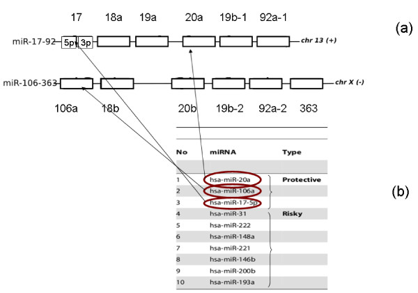 Brain cancer prognosis: independent validation of a clinical bioinformatics approach.