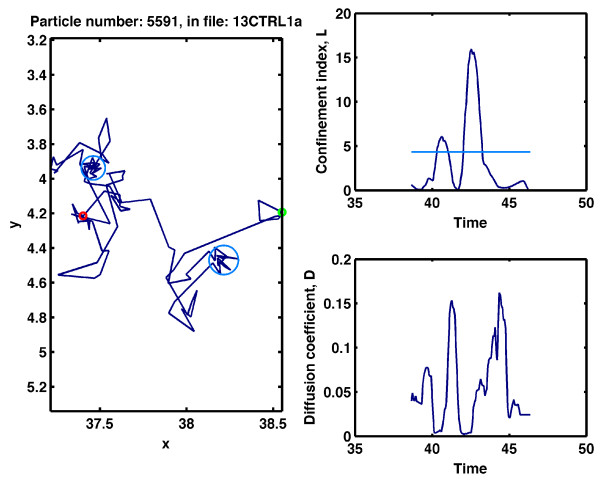 APM_GUI: analyzing particle movement on the cell membrane and determining confinement.