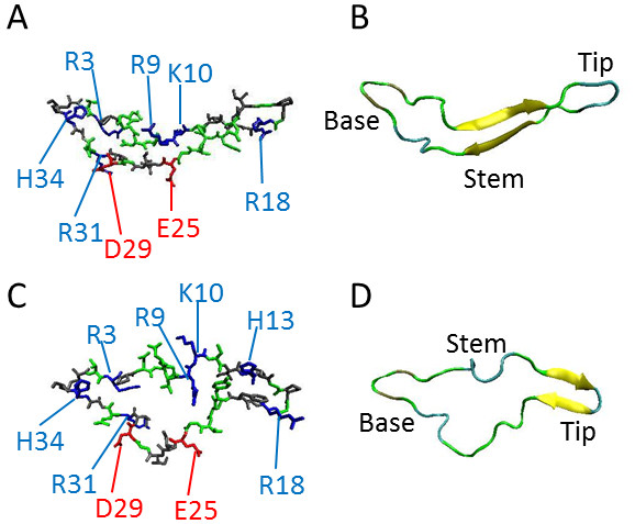 Clustering of HIV-1 Subtypes Based on gp120 V3 Loop electrostatic properties.