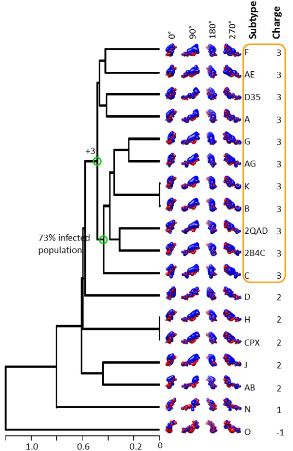 Clustering of HIV-1 Subtypes Based on gp120 V3 Loop electrostatic properties.