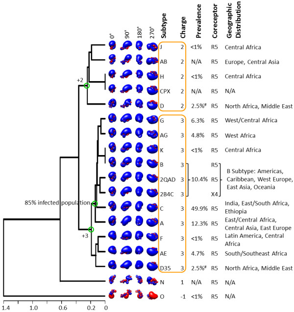 Clustering of HIV-1 Subtypes Based on gp120 V3 Loop electrostatic properties.