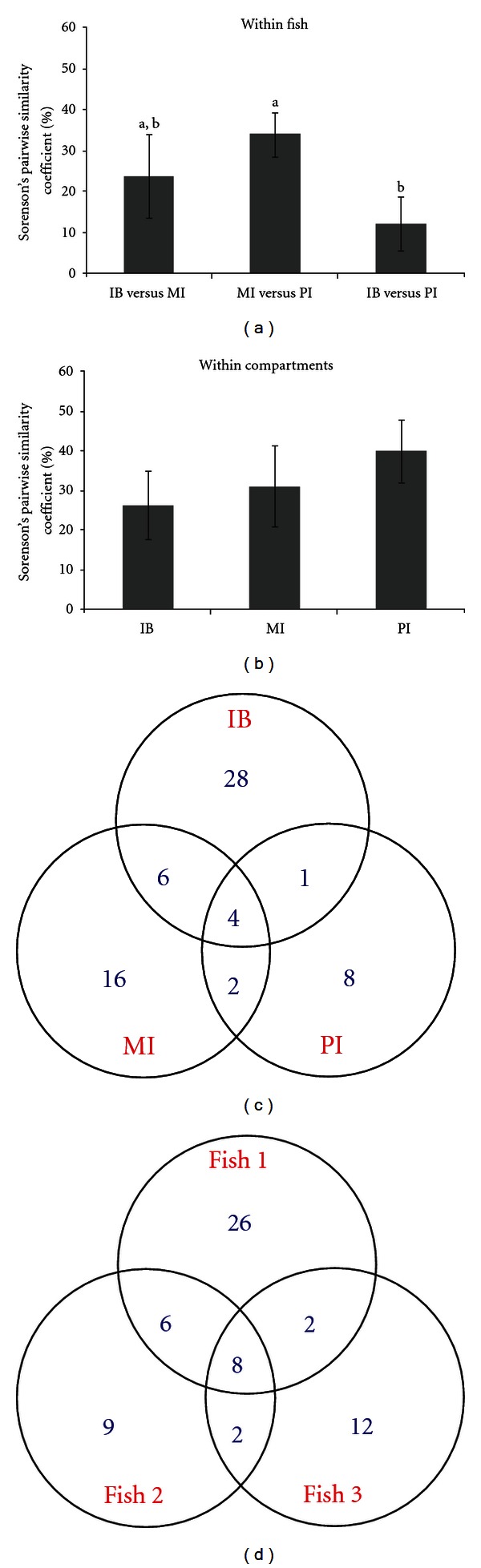 Molecular Characterisation of Bacterial Community Structure along the Intestinal Tract of Zebrafish (Danio rerio): A Pilot Study.