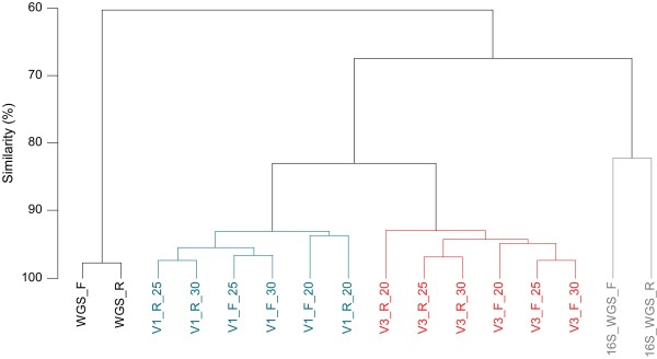 Analysis of the salivary microbiome using culture-independent techniques.