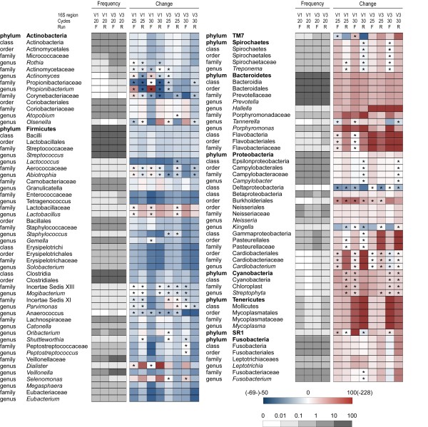 Analysis of the salivary microbiome using culture-independent techniques.