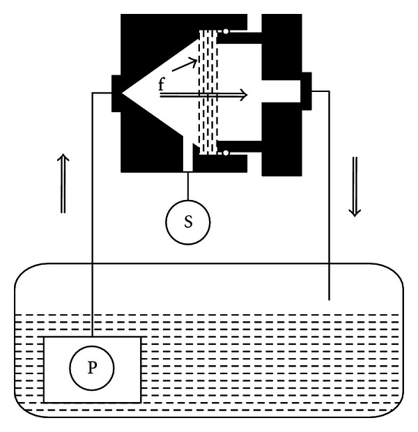 Bacterial growth on chitosan-coated polypropylene textile.