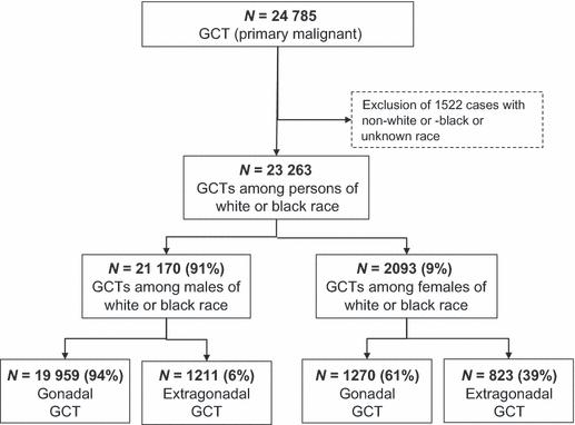 Gonadal and extragonadal germ cell tumours in the United States, 1973–2007