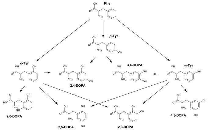 Phenylalanine as a hydroxyl radical-specific probe in pyrite slurries