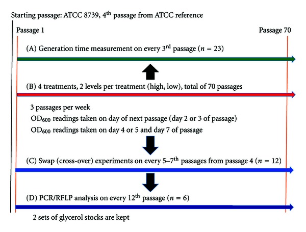 Escherichia coli ATCC 8739 Adapts to the Presence of Sodium Chloride, Monosodium Glutamate, and Benzoic Acid after Extended Culture.