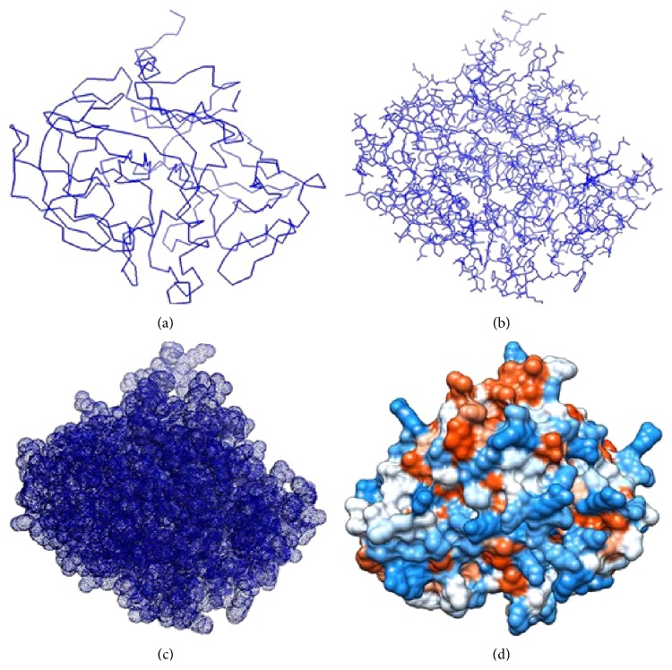 Structural Modeling and Analysis of Pregnancy-Associated Glycoprotein-1 of Buffalo (Bubalus bubalis).