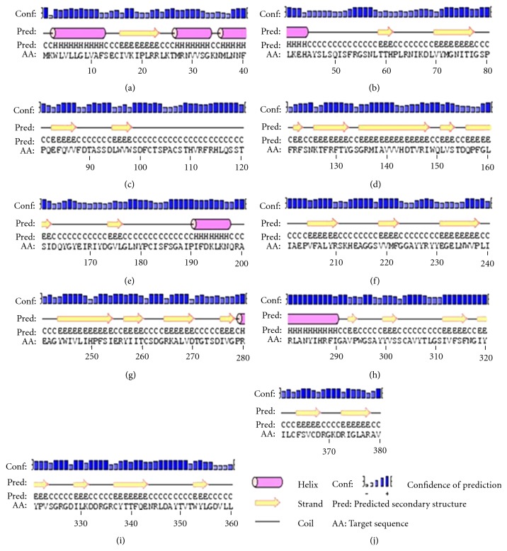 Structural Modeling and Analysis of Pregnancy-Associated Glycoprotein-1 of Buffalo (Bubalus bubalis).